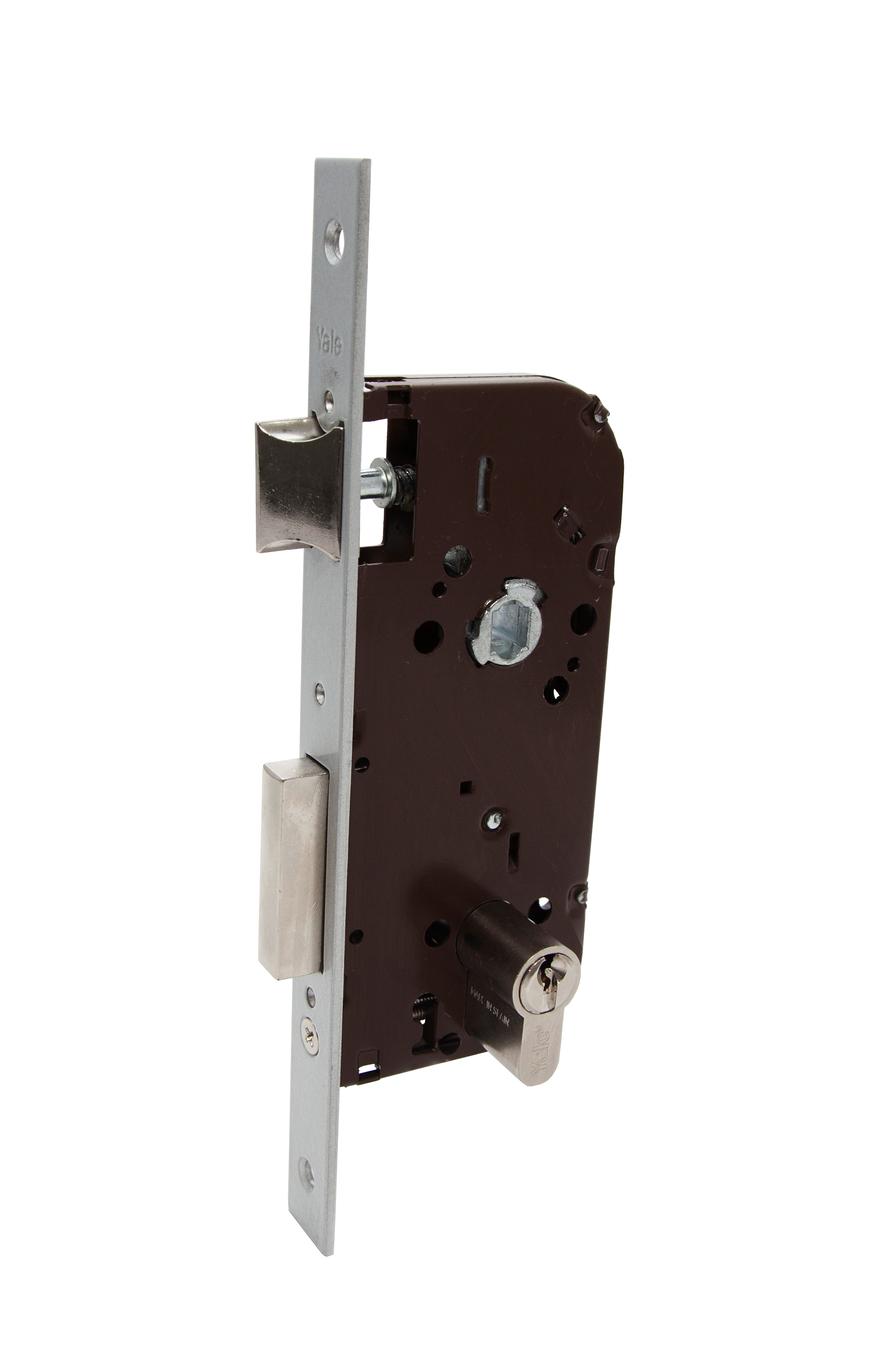 Image: No description