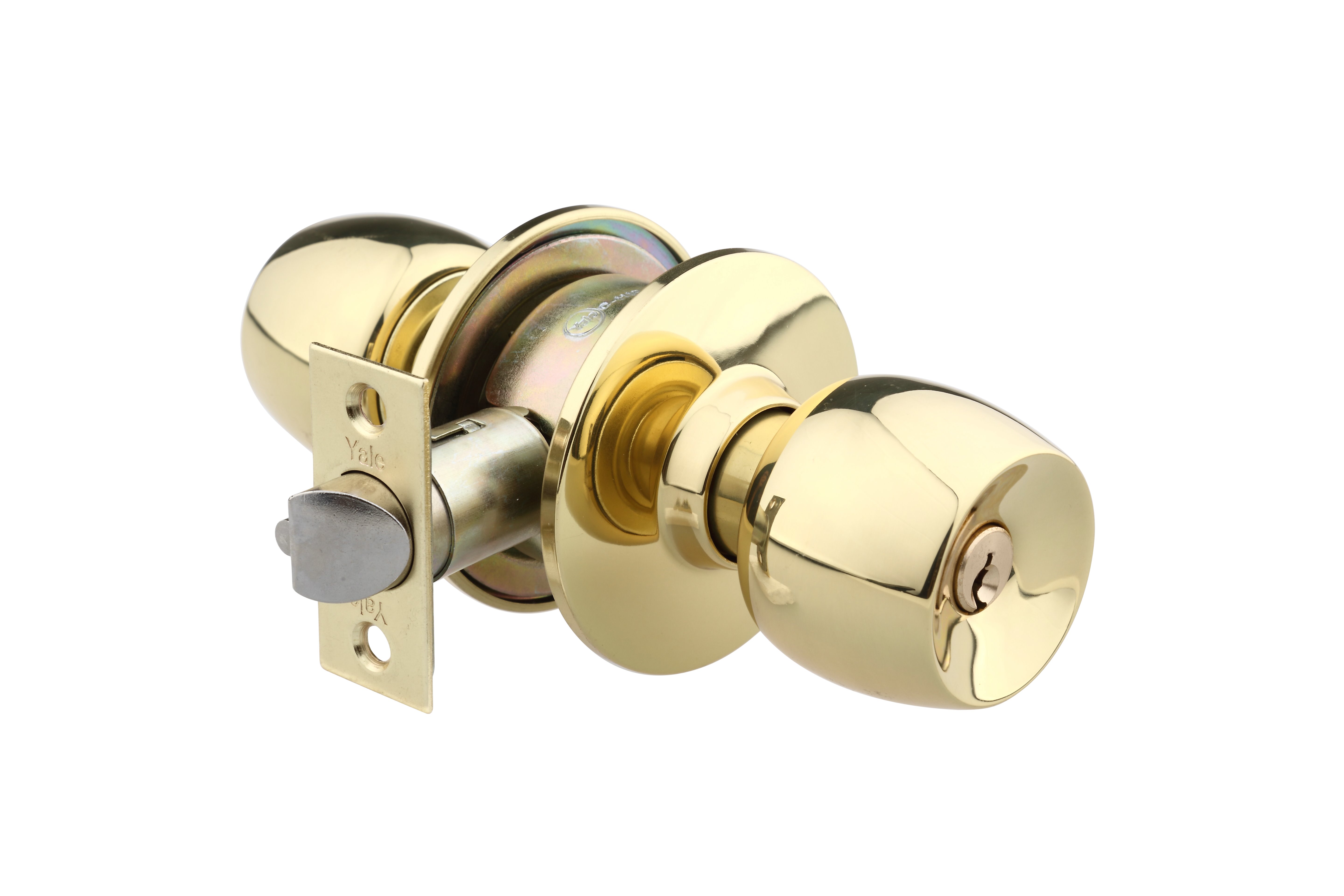 Image: No description