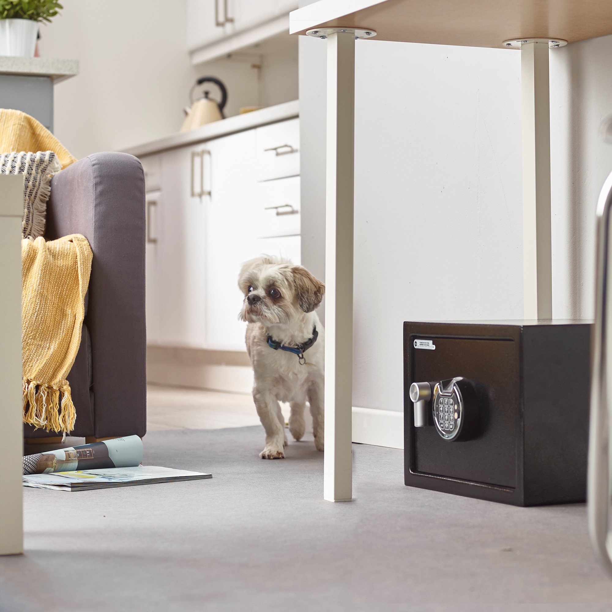 Image: No description