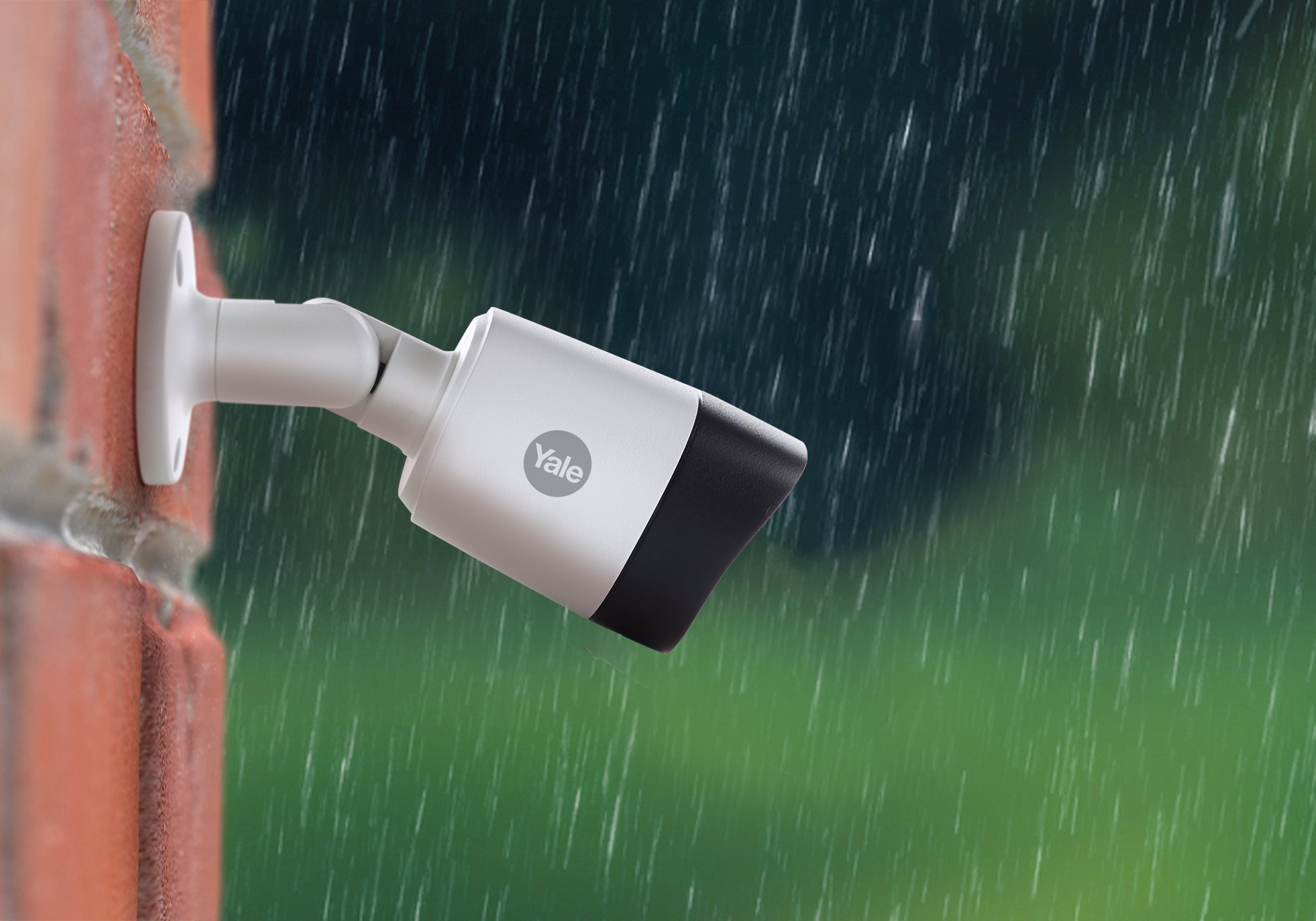 Image: No description