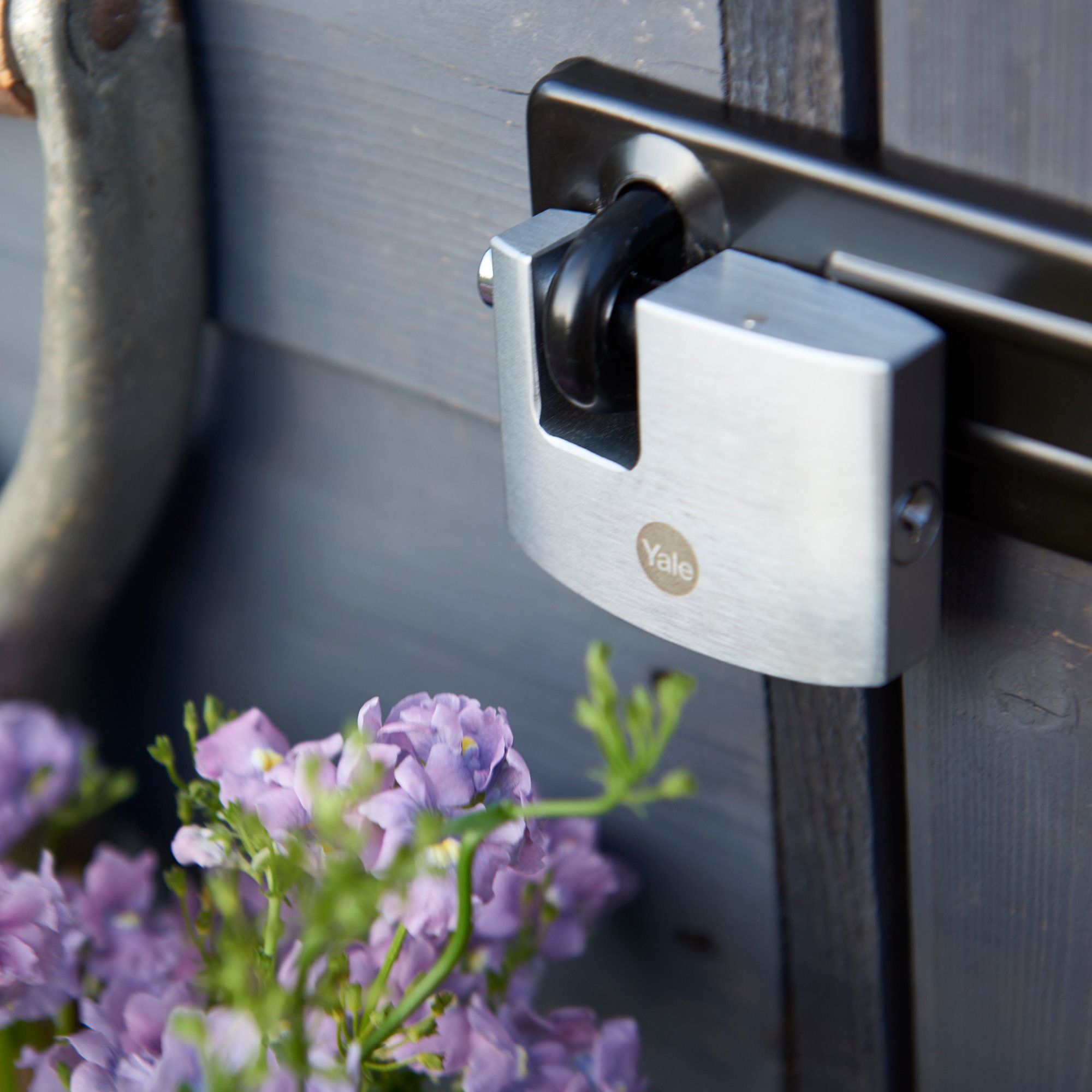 Image: No description