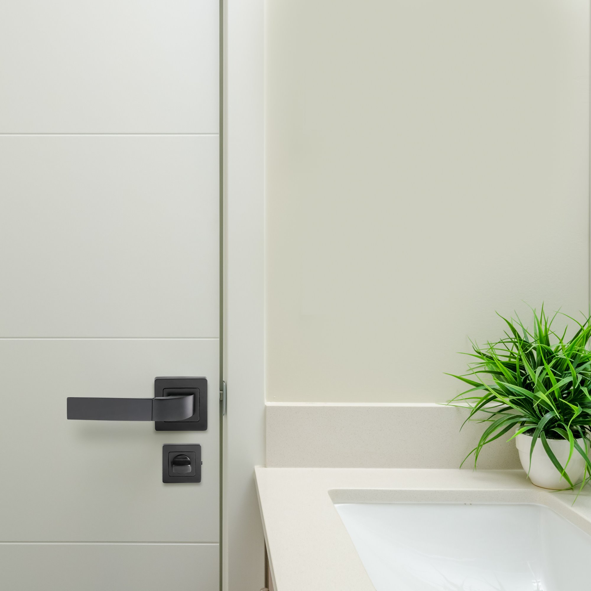 Image: No description