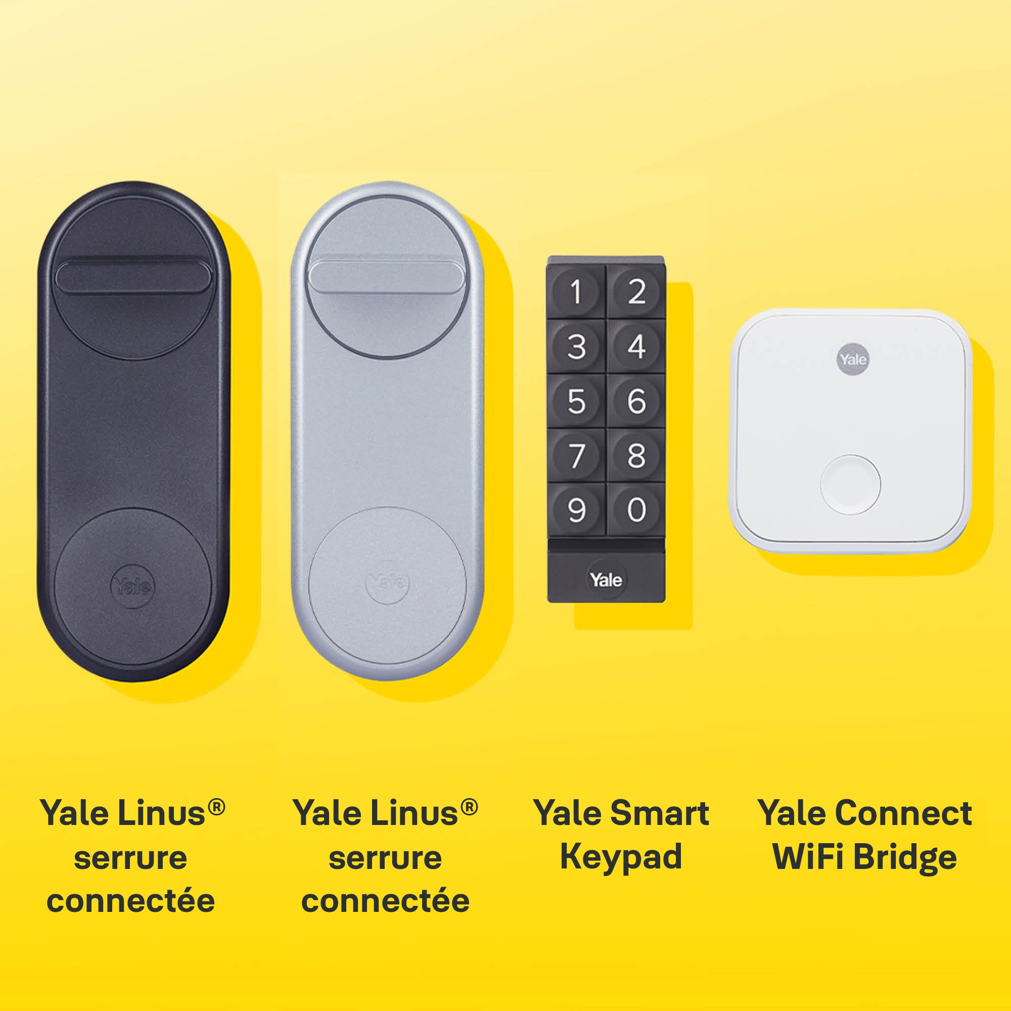 Image: No description