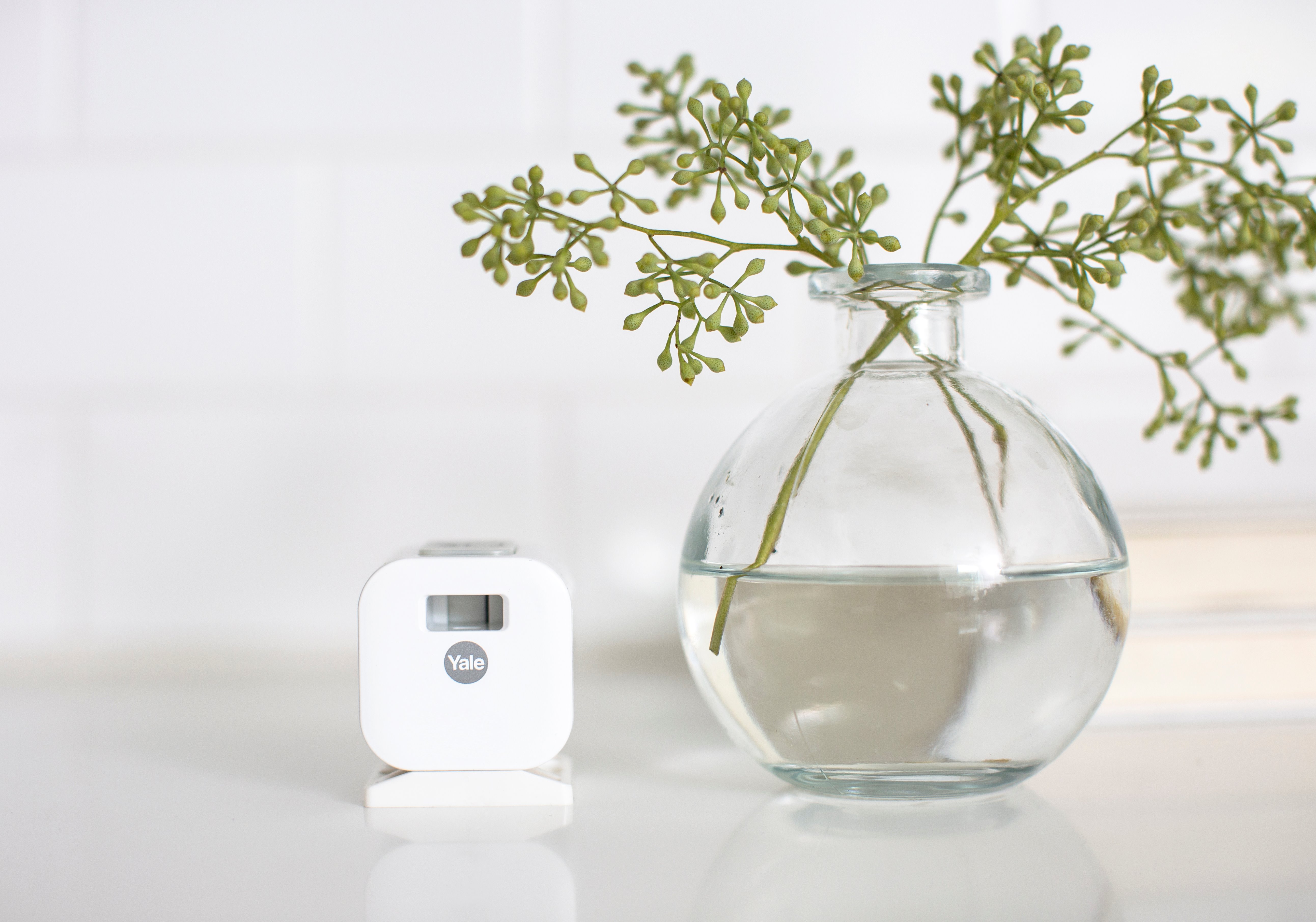 Image: No description