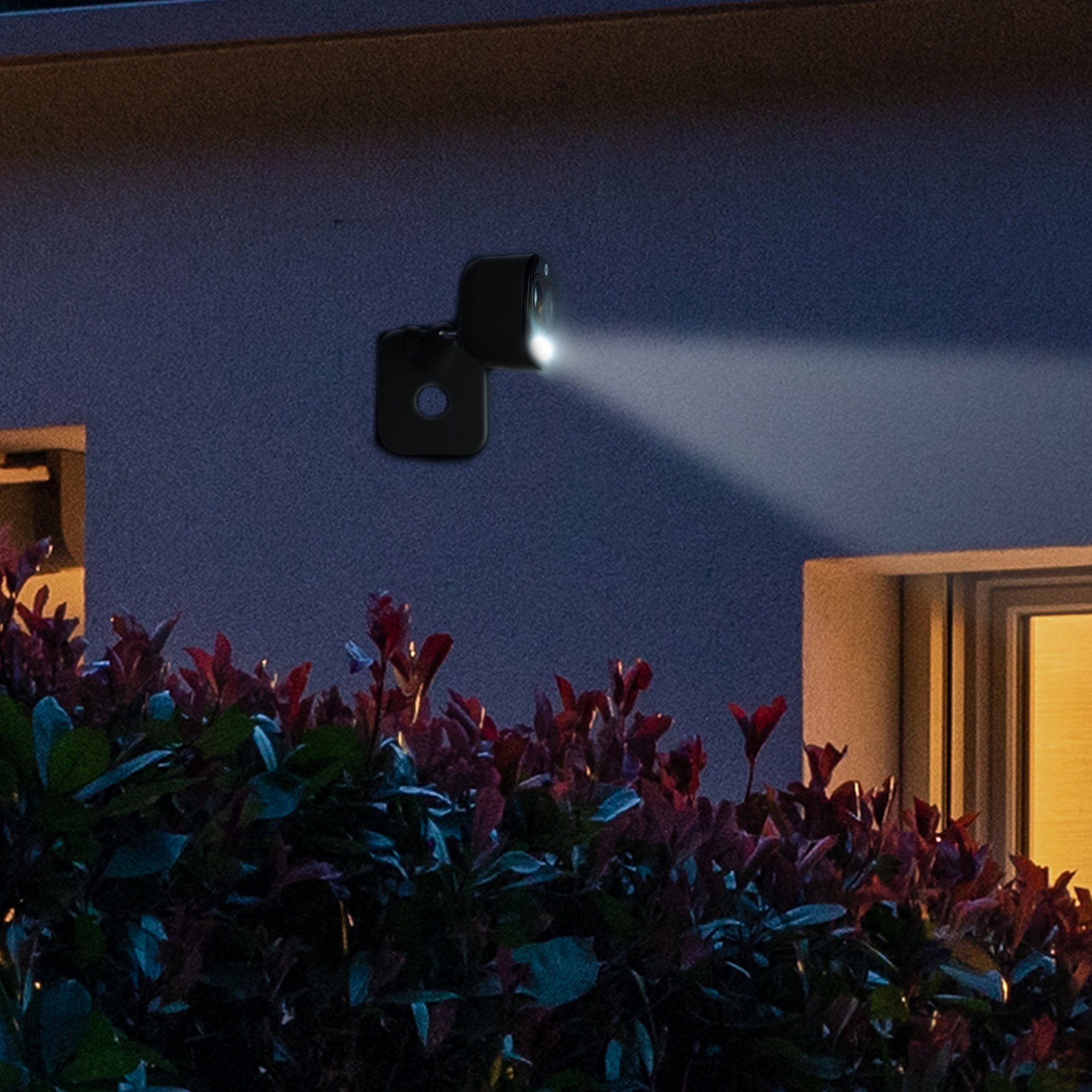 Image: No description