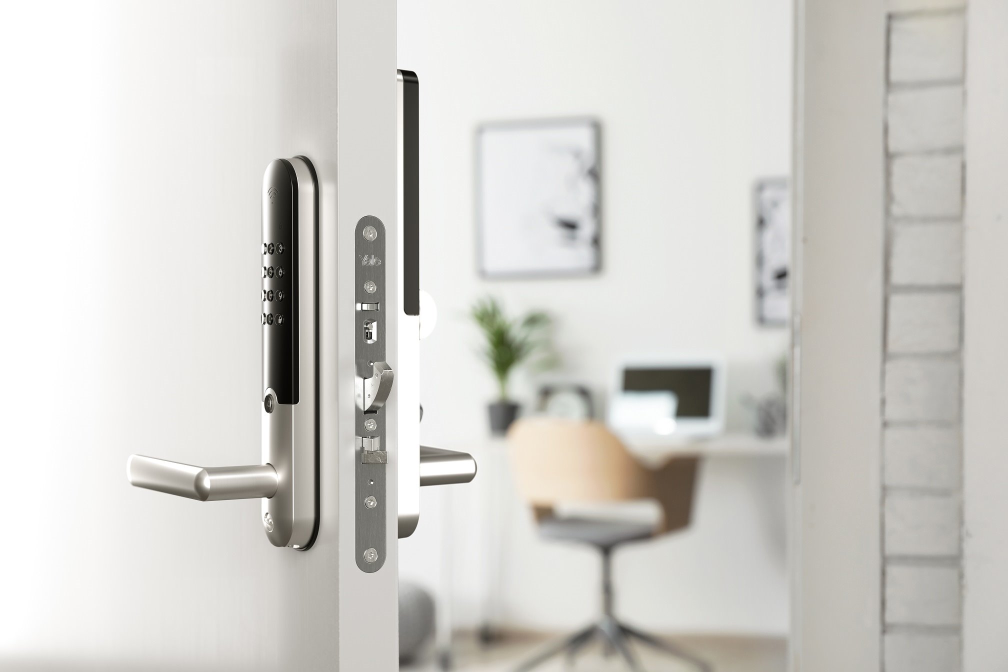 Image: No description