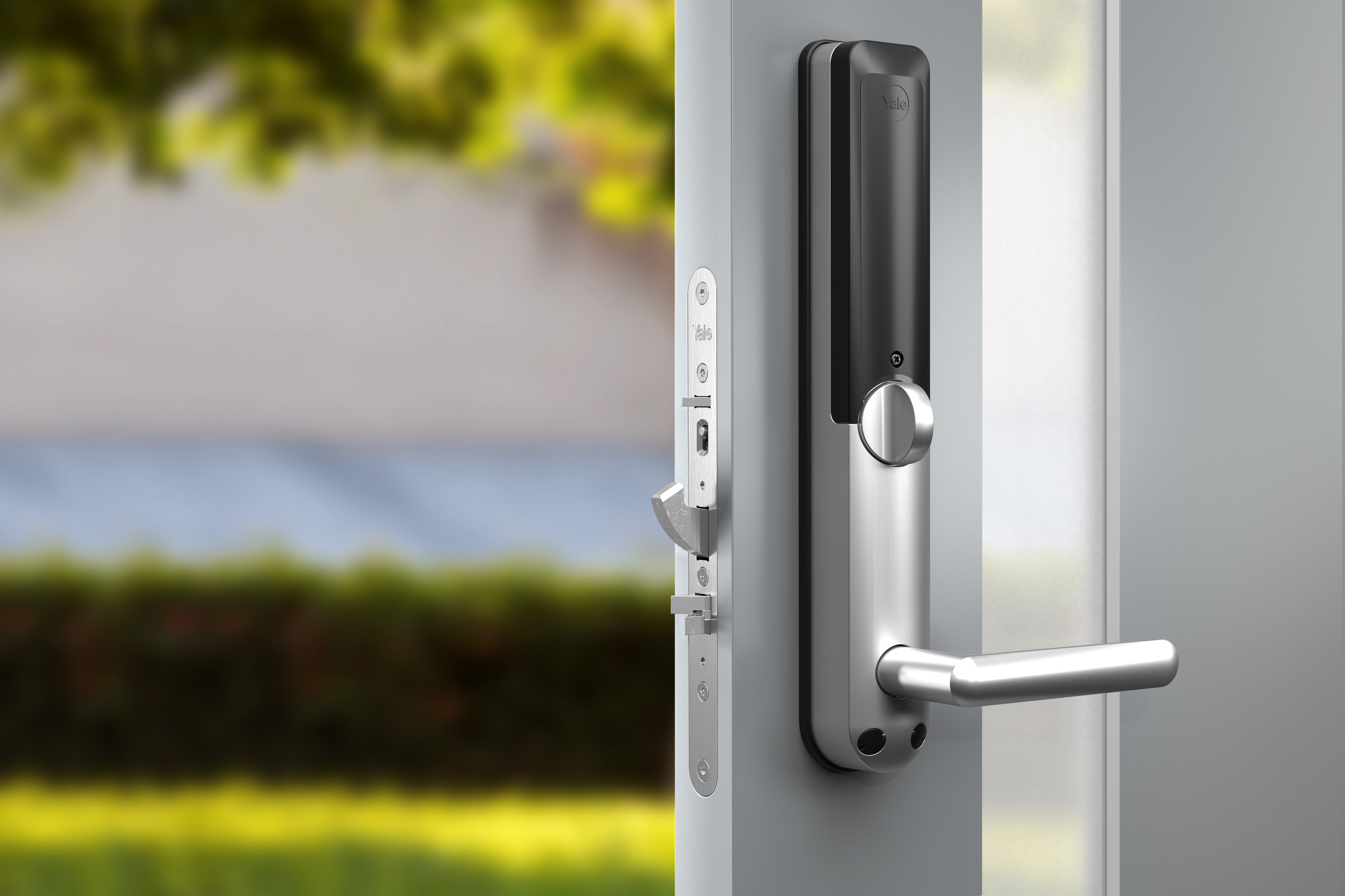 Image: No description