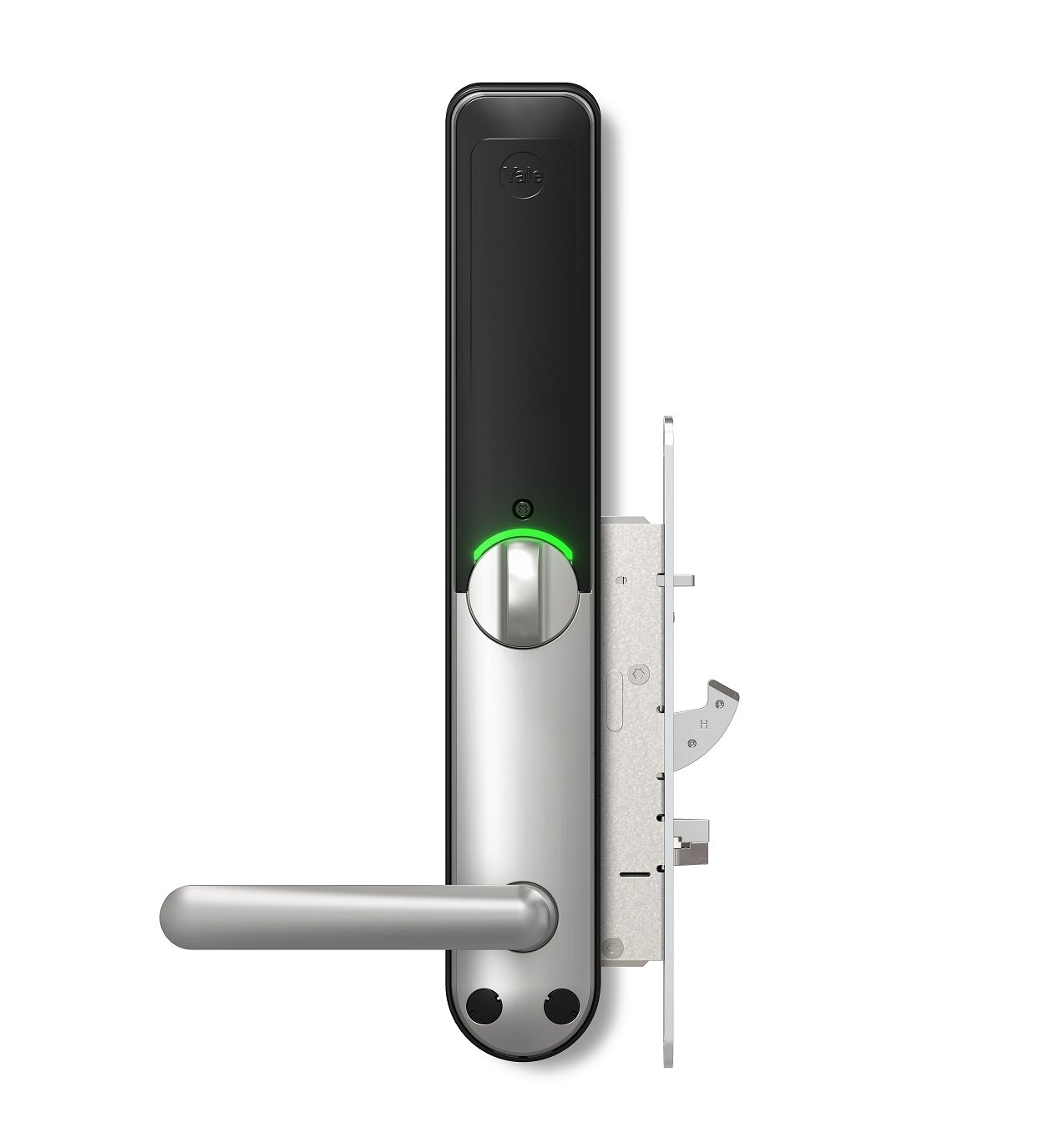 Image: No description