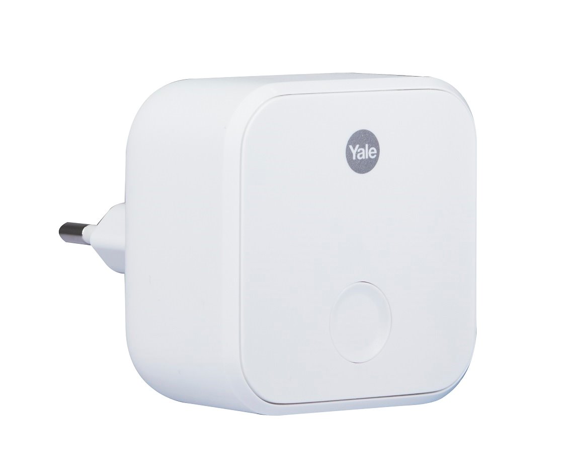 Image: No description