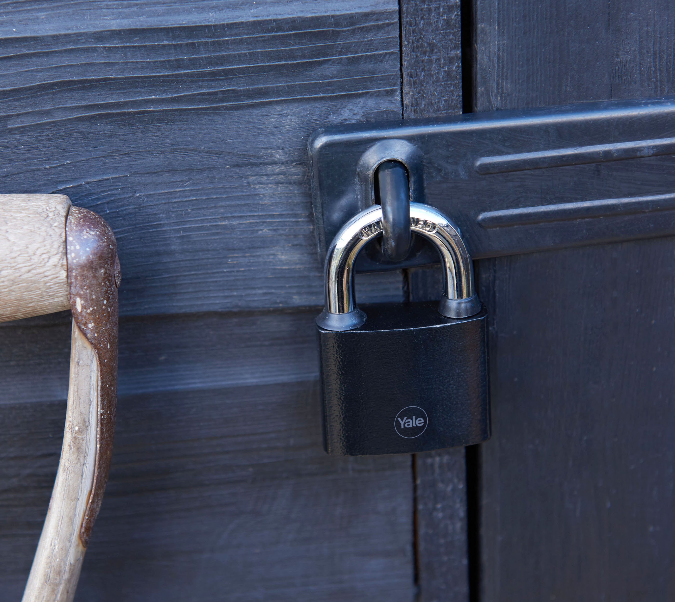 Image: No description