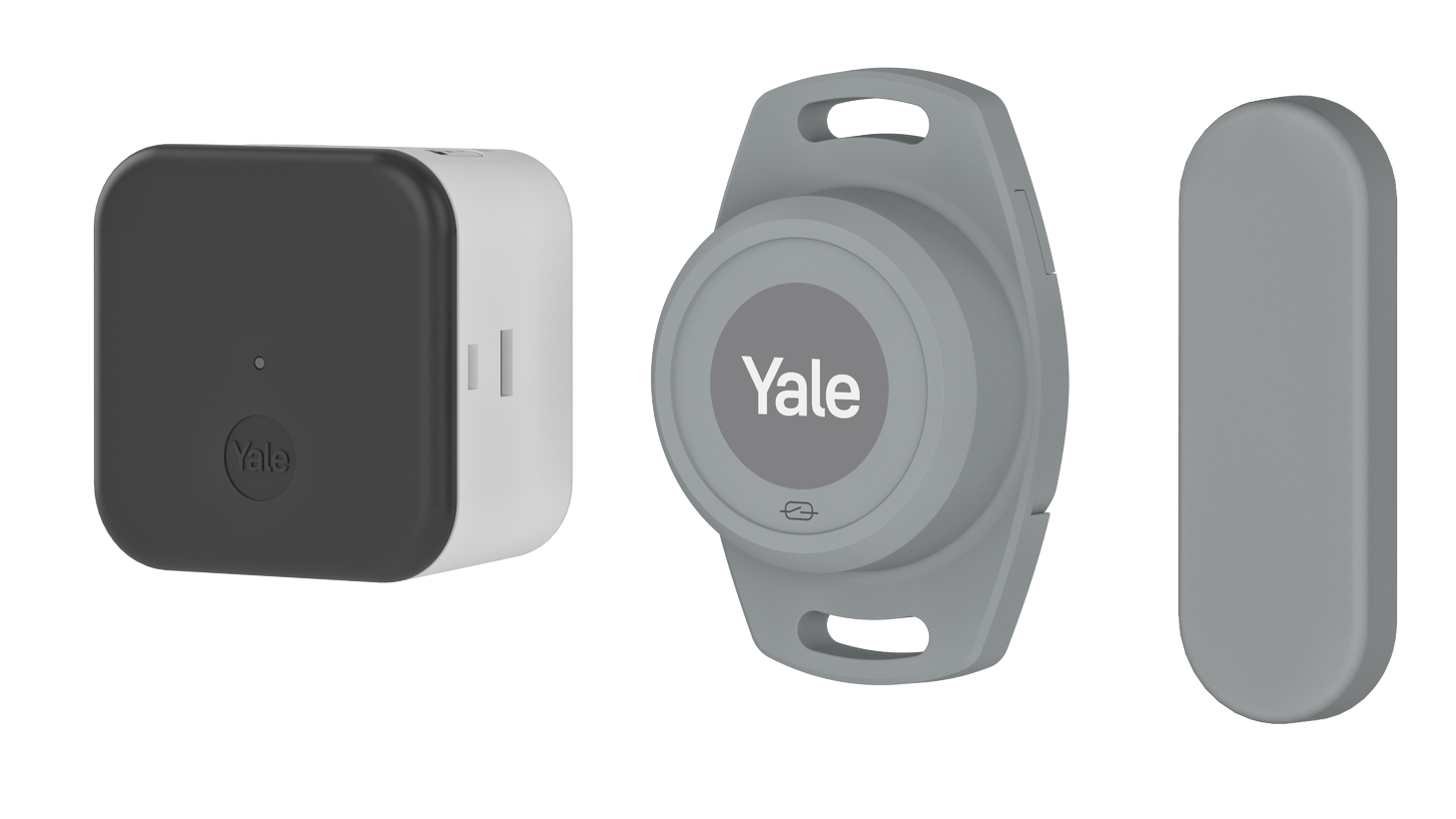 Image: No description