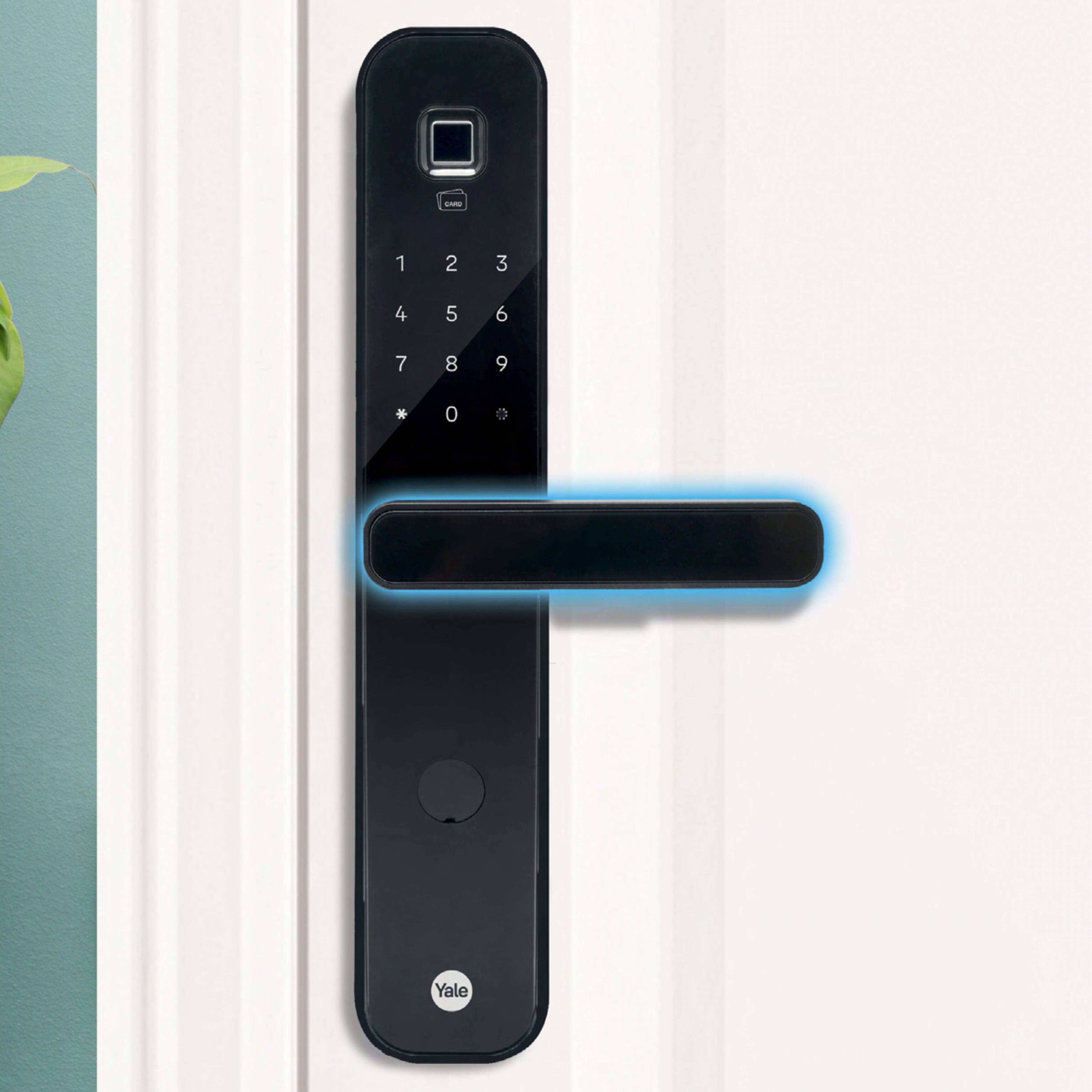 Image: No description