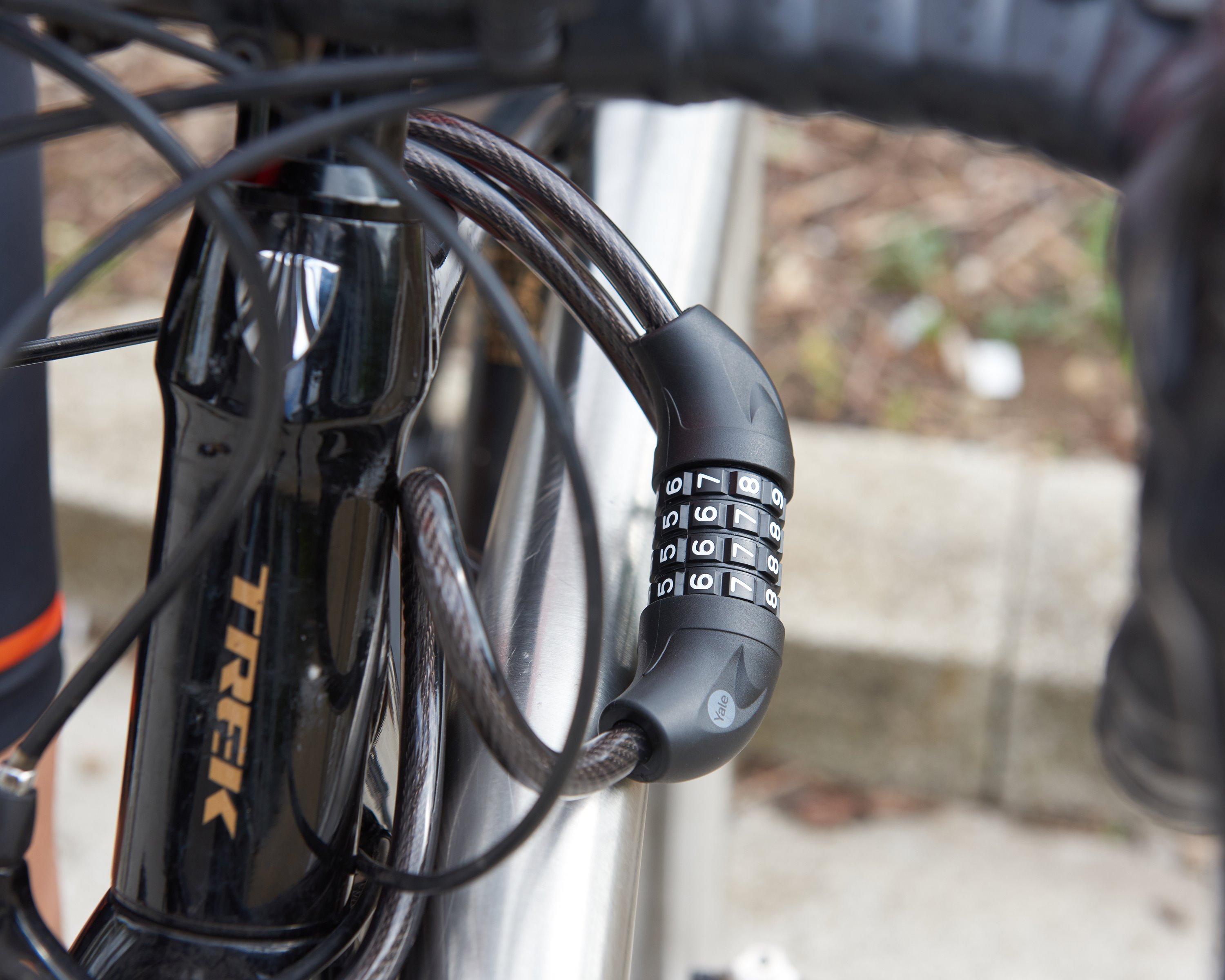 Image: No description