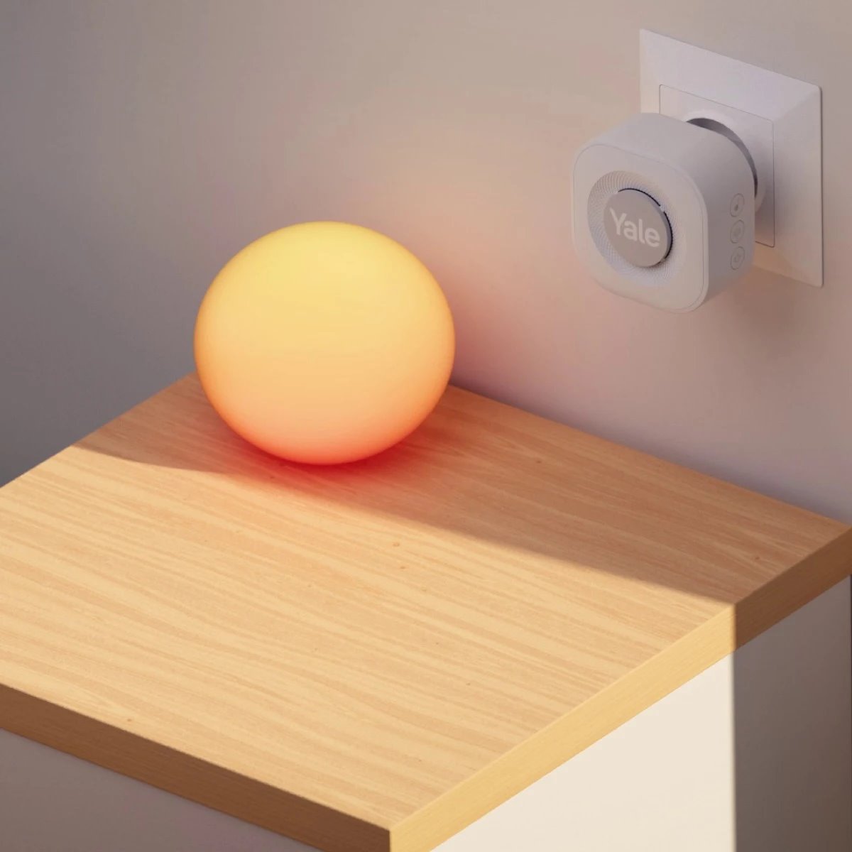 Image: No description