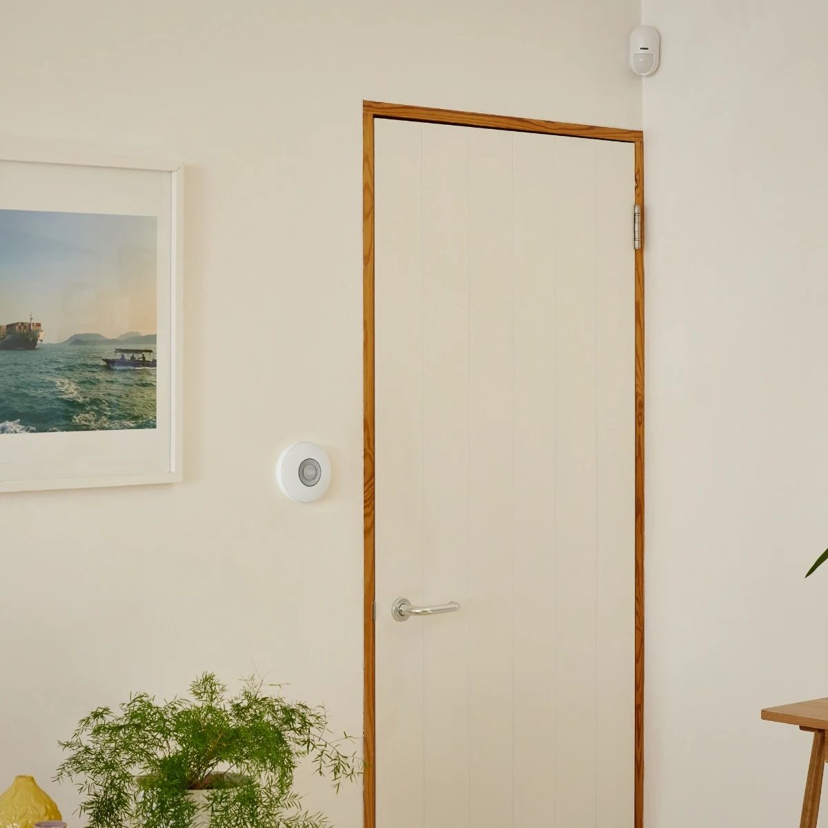 Image: No description