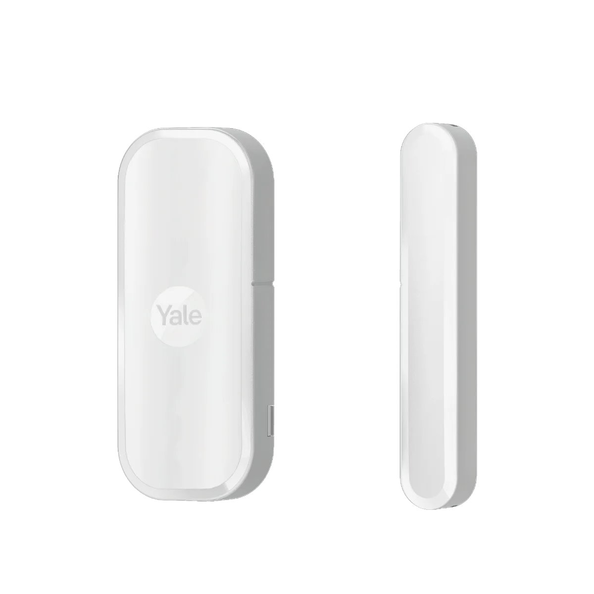 Image: No description