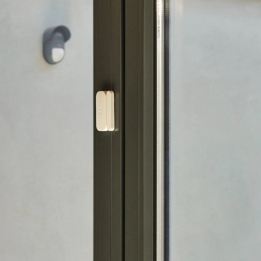 Image: No description