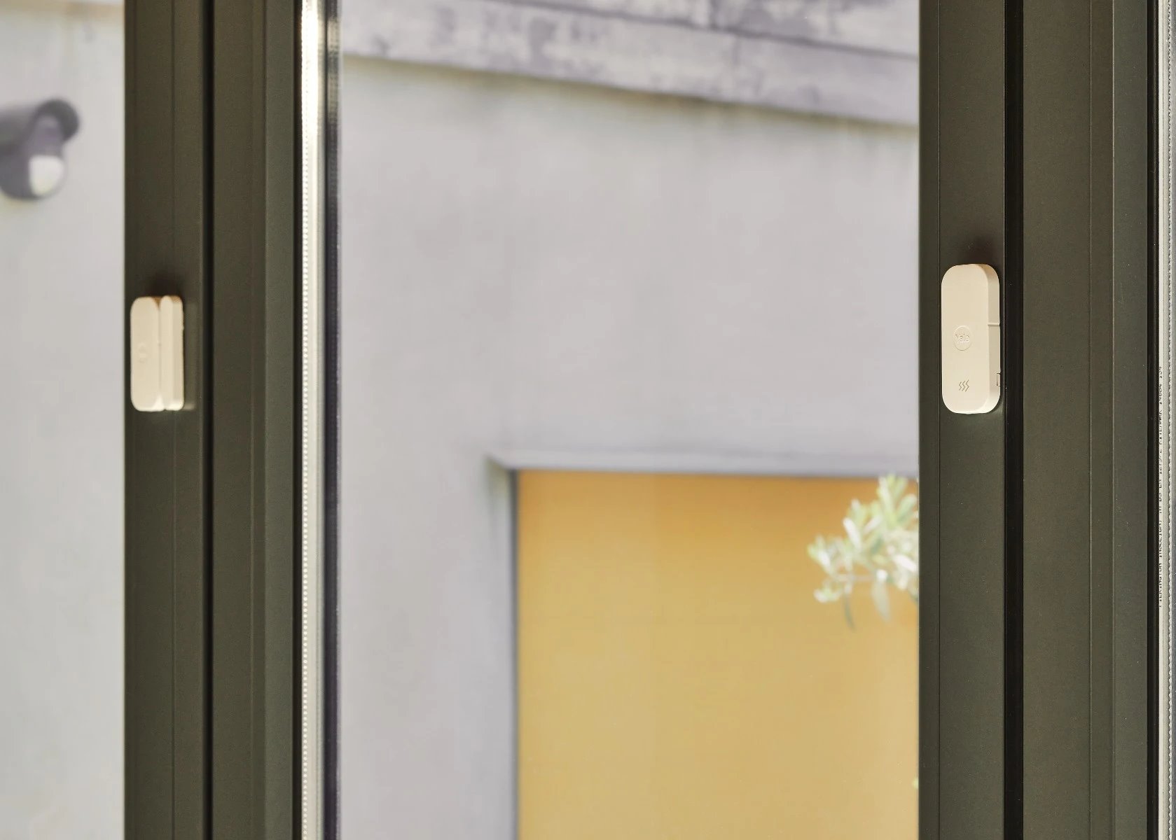 Image: No description