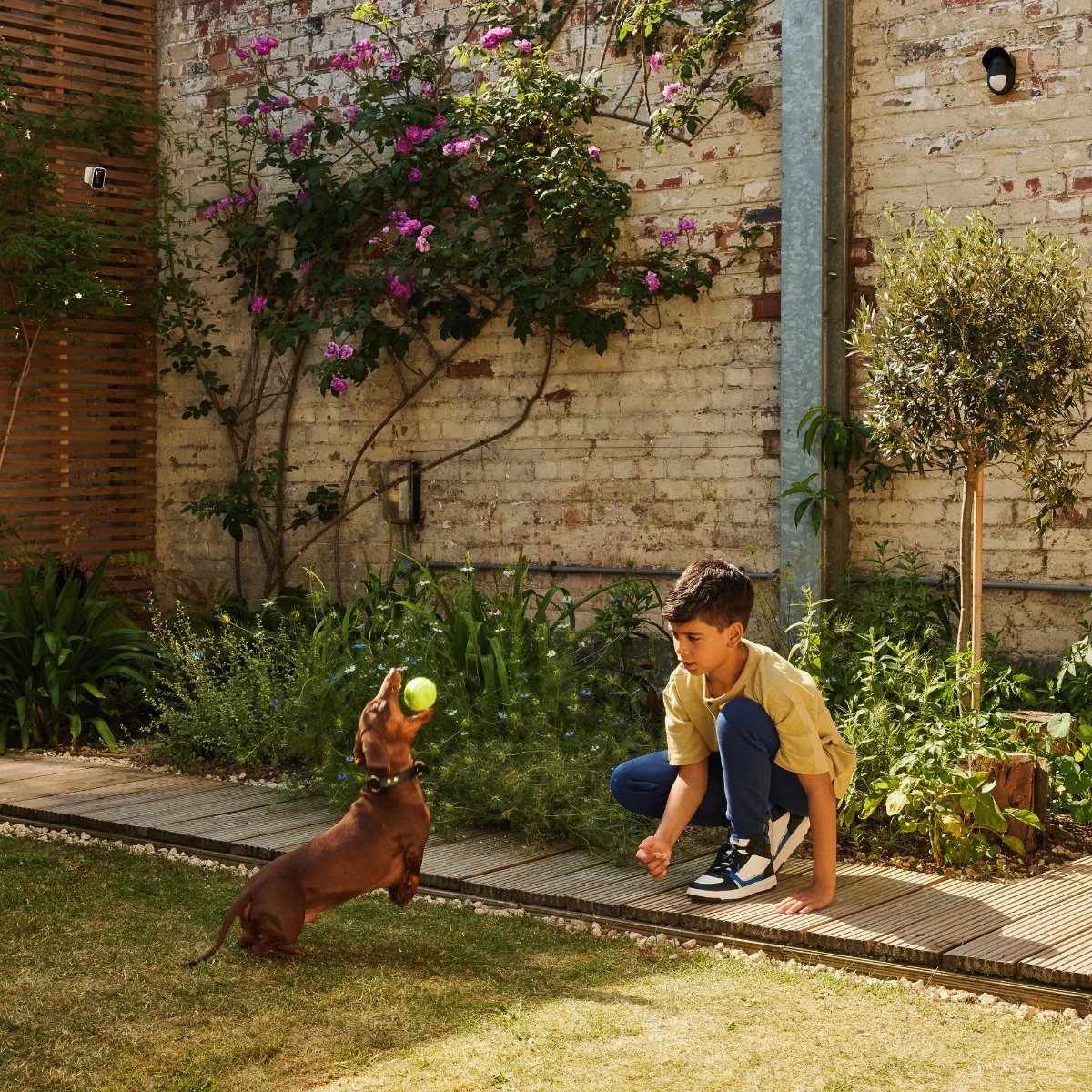 Image: No description