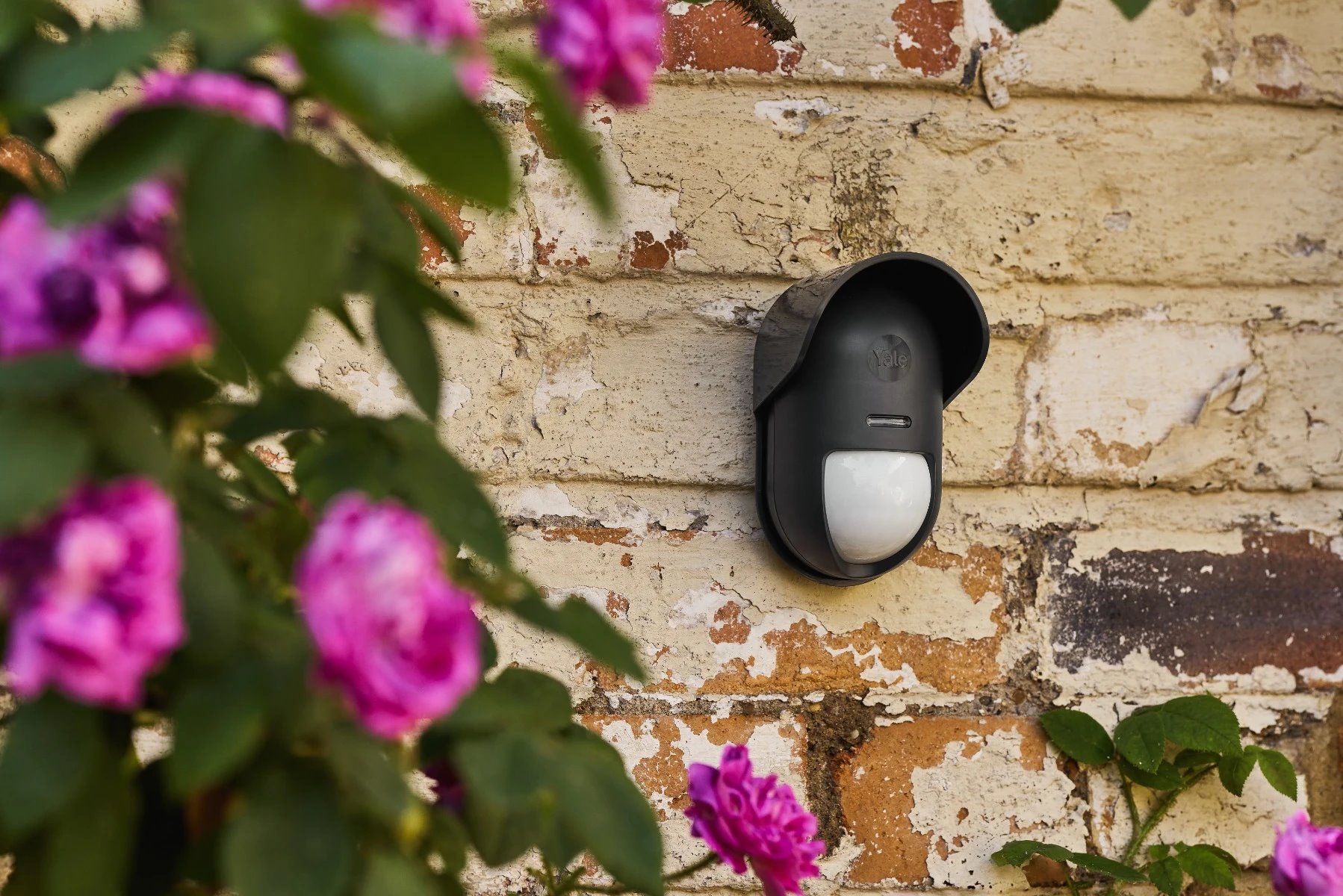 Image: No description