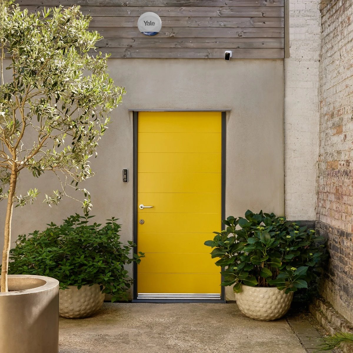 Image: No description