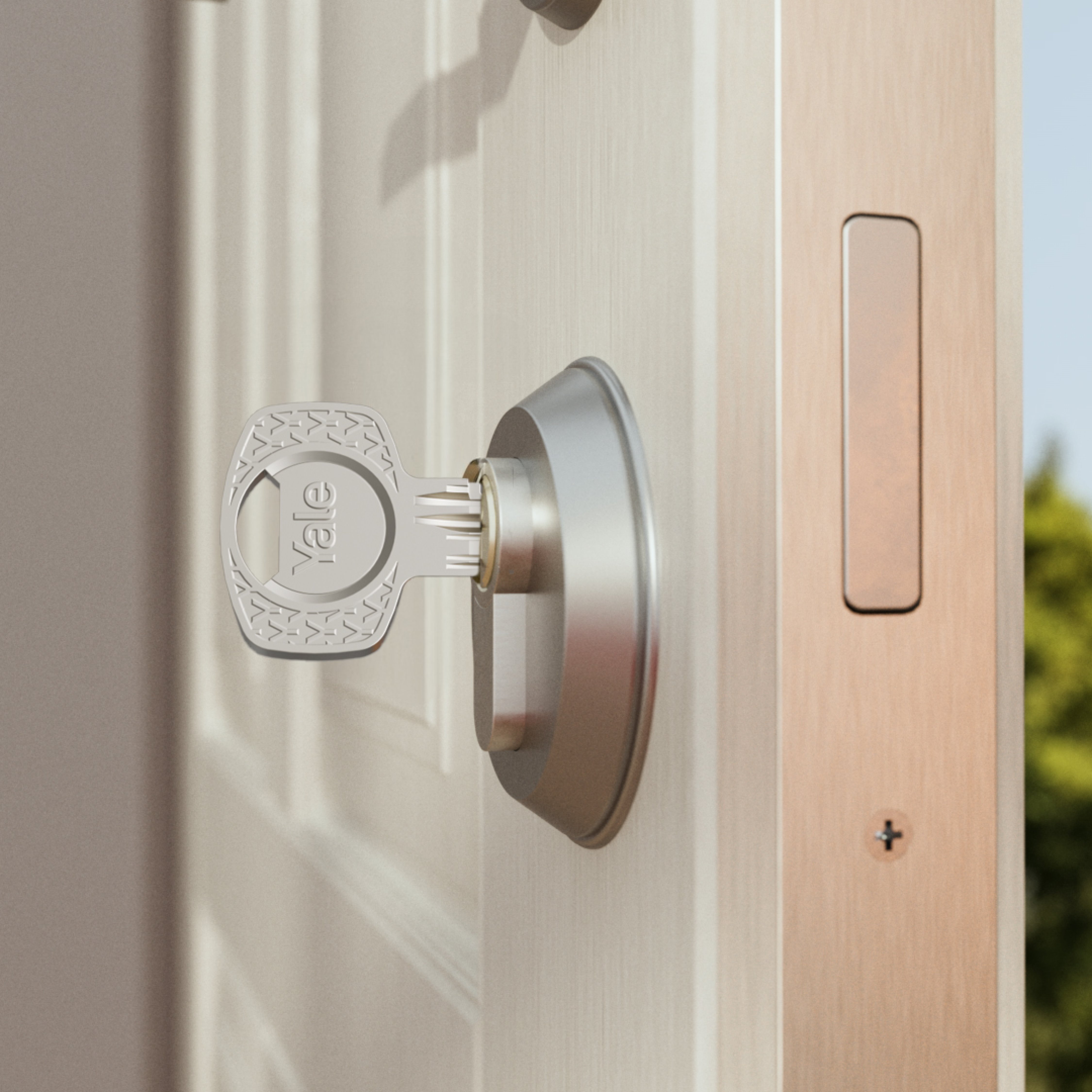 Image: No description