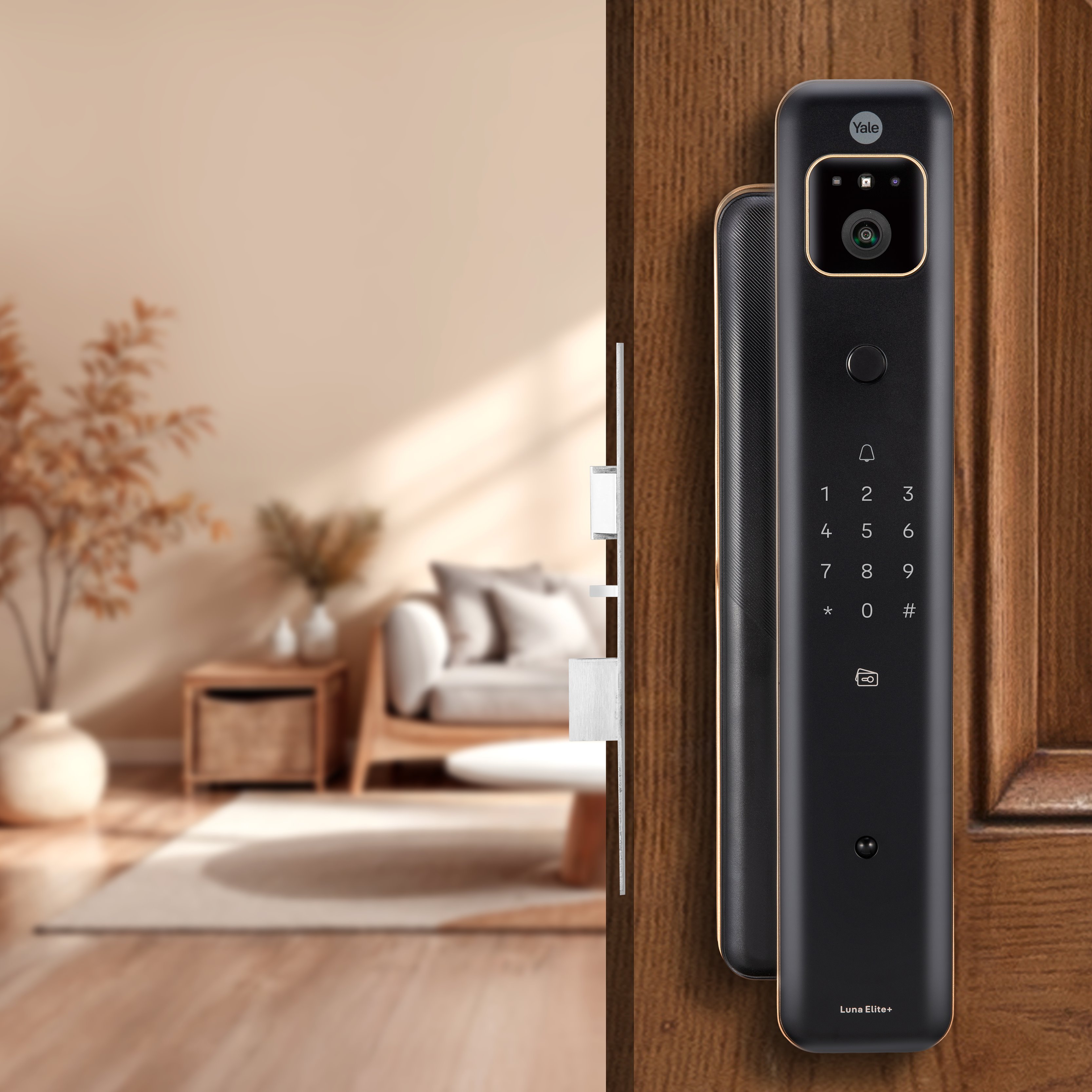 Image: No description